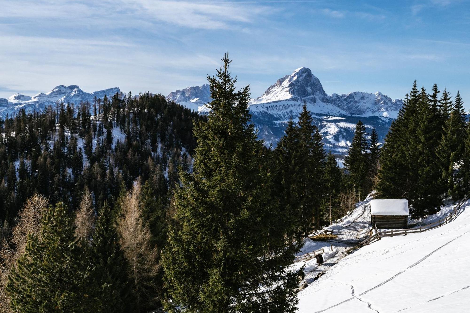 Alpine Hotel Gran Foda' San Vigilio Di Marebbe Zewnętrze zdjęcie